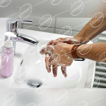 What are the ingredients of liquid hand wash?