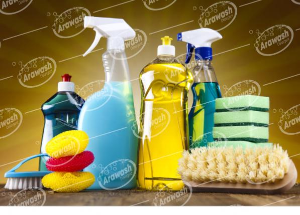  How many main types of detergent  are there?